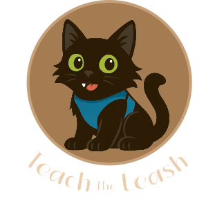 Teach the Leash Cat Leash Training
